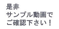 【￥All△100】3DCGバーチャルグラビアアイドル『紀美野明梨（きみのあかり）』のアダルトビデオ「日本庭園〜白昼夢〜（OL風着衣Ver）」